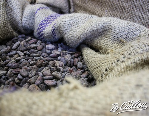 2-cabosses-ailees-chocolaterie-reunion-feves-cacao