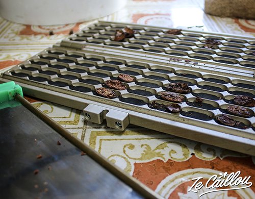 3-cabosses-ailees-chocolaterie-reunion-feves-guillotine
