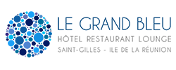 logo partenaire : hotel-grand-bleu